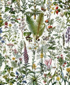 Atelier – Découverte des plantes médicinales