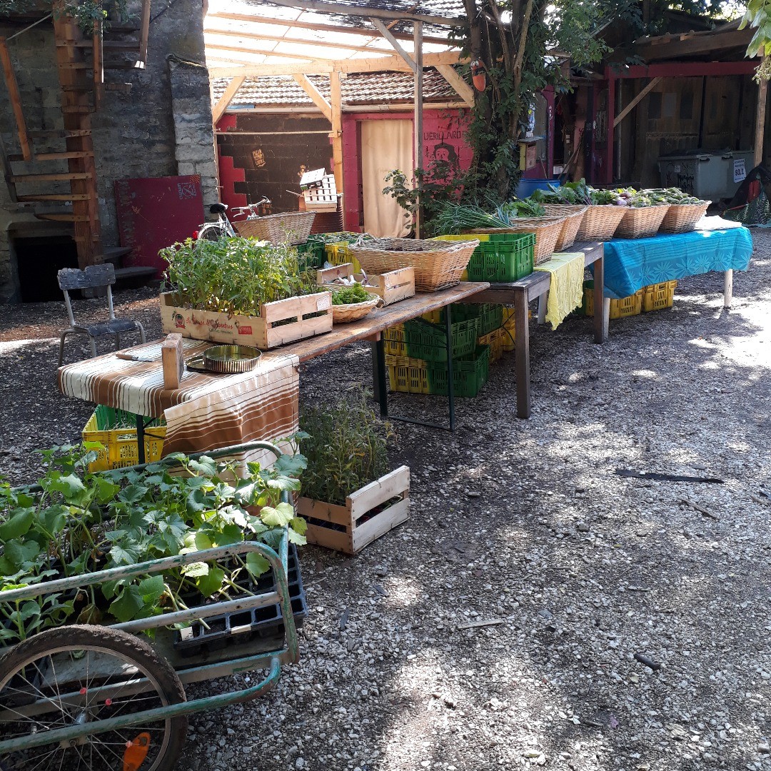Marché à prix libre des Lentillères