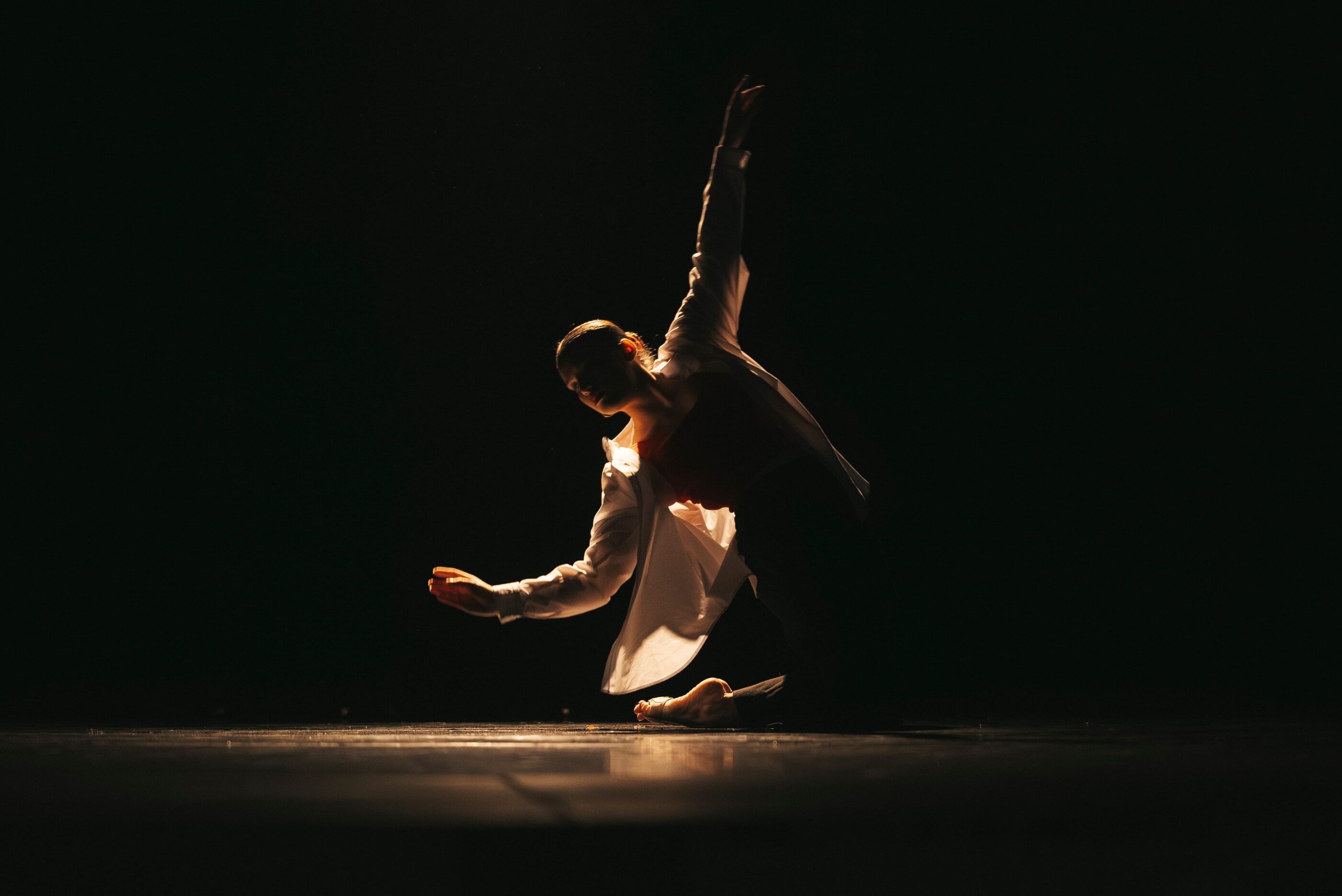 Spectacle de danse Nastasia 2026