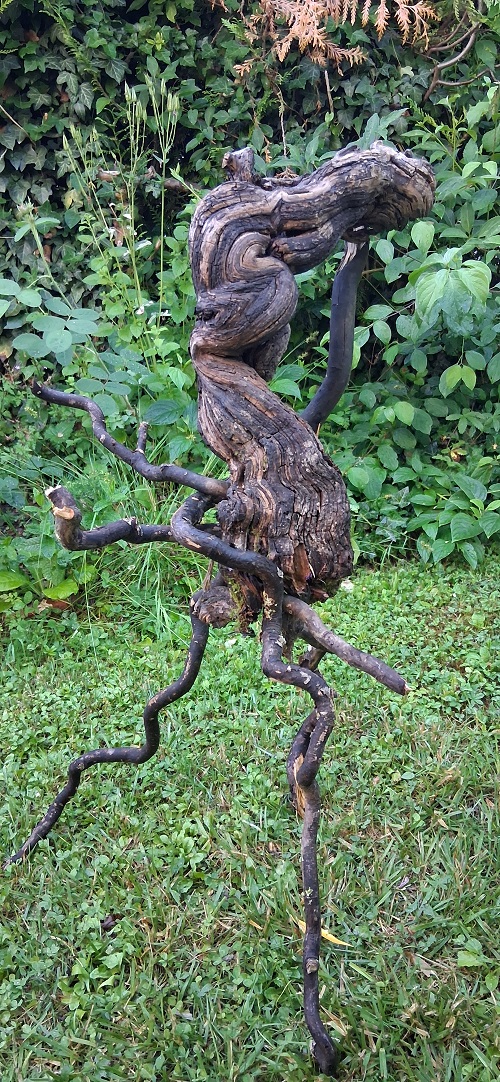 Atelier « Land Art »