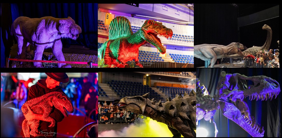 Dinosaures: Le voyage de Bumpy®, l’exposition-spectacle – Tour 2026